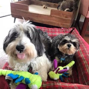 Meet your Posher, Caitlin